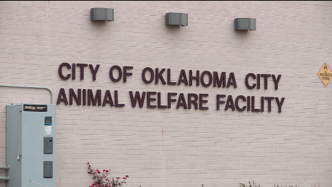 City of OKC Animal Welfare